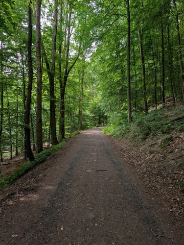 Löwenburg Rundweg