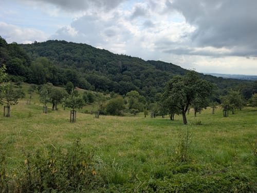 Löwenburg Rundweg