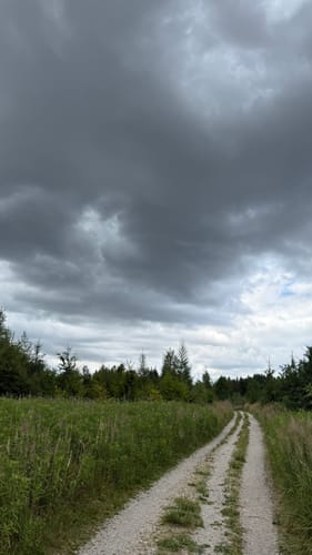 Germeringer See und Waldwanderung