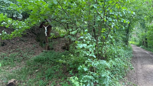 Germeringer See und Waldwanderung
