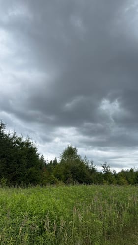 Germeringer See und Waldwanderung