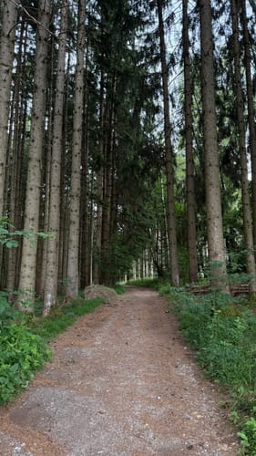 Germeringer See und Waldwanderung