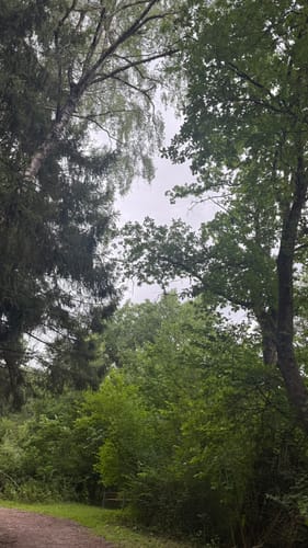 Germeringer See und Waldwanderung