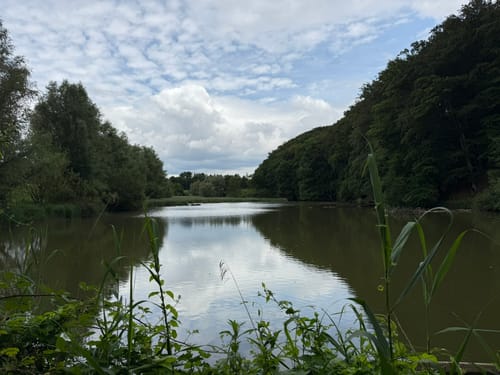 Gerresheim: Rotthäuser Bachtal