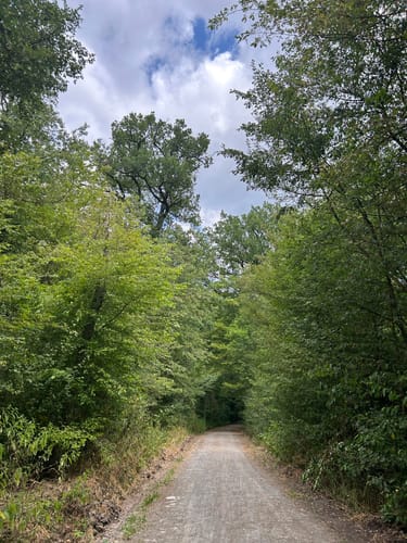 Aalkistensee Rundweg