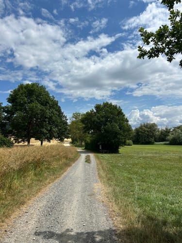 Aalkistensee Rundweg