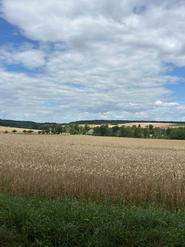 Aalkistensee Rundweg