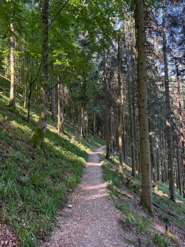 Kälbelescheuer-Nonnenmattweiher