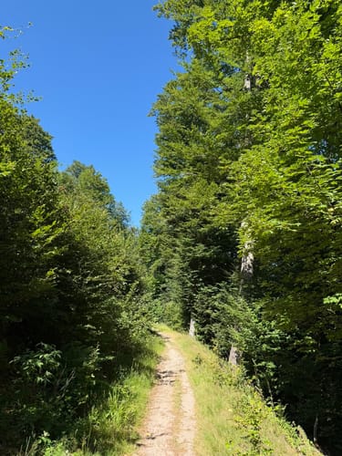 Kälbelescheuer-Nonnenmattweiher