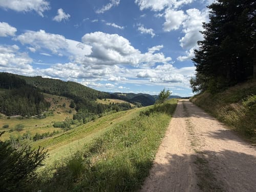 Kälbelescheuer-Nonnenmattweiher