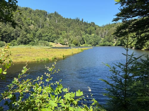 Kälbelescheuer-Nonnenmattweiher