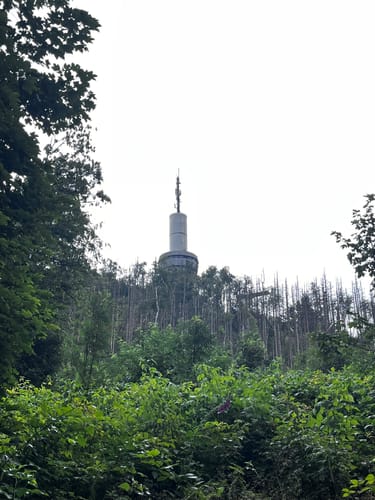 Bad Sachsa - Berghof Ravensberg - Ratsberg
