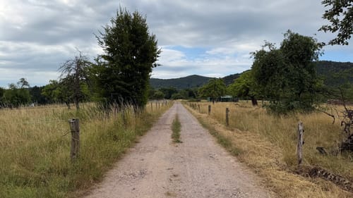 Hauensteiner Schusterpfad (Premiumwanderweg)