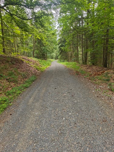 Callenberg Runde von der Ernstfarm über die Hofmannsteiche