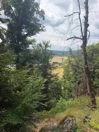 Ried: Jägersteig