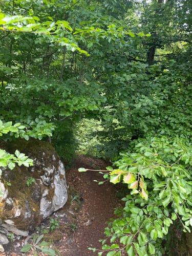 Ried: Jägersteig