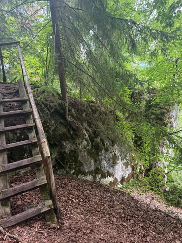Ried: Jägersteig