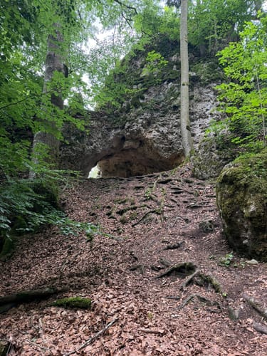Ried: Jägersteig