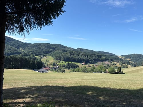 Aussichtsweg: Kleine Runde über Weissmoos
