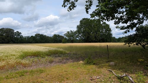 Unterhaverbeck - Wilsede - Wilseder Berg