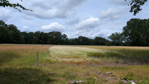 Unterhaverbeck - Wilsede - Wilseder Berg