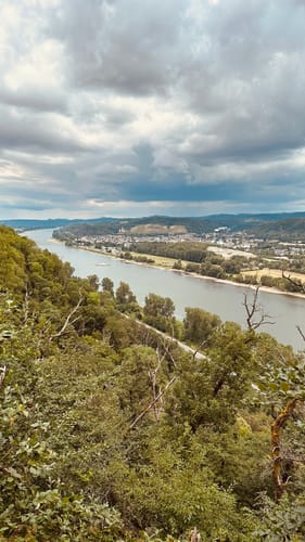 Rheinecker Felsenweg 8