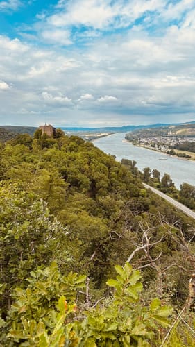 Rheinecker Felsenweg 8