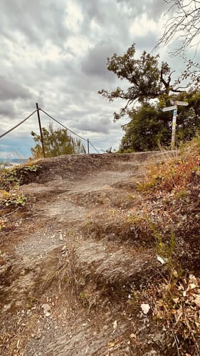 Rheinecker Felsenweg 8