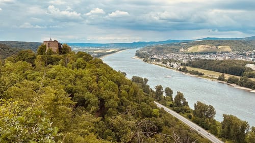 Rheinecker Felsenweg 8