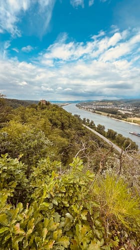 Rheinecker Felsenweg 8