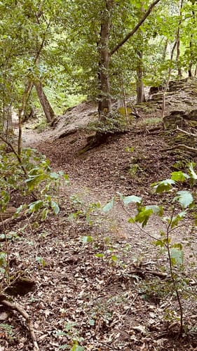 Rheinecker Felsenweg 8