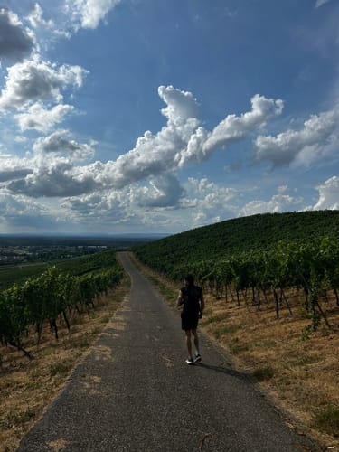Tour zum Fremersberg