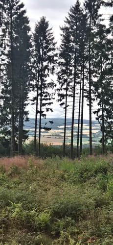 Wierser Tor-Rundweg