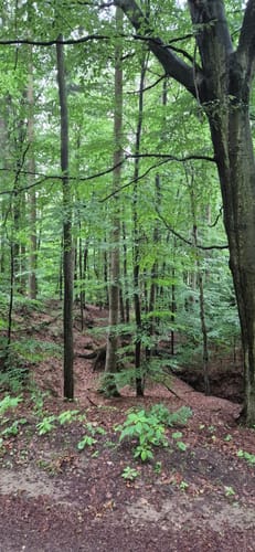 Wierser Tor-Rundweg