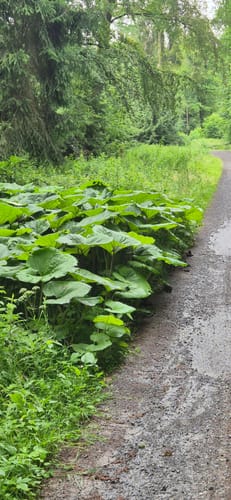 Wierser Tor-Rundweg