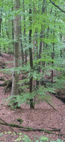 Wierser Tor-Rundweg
