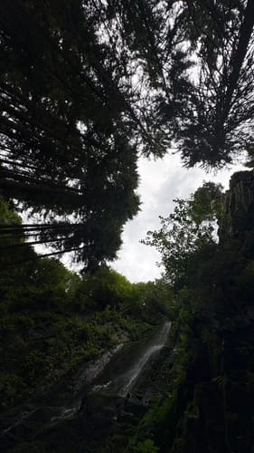 Klösterle Schleife (Genießerpfad)