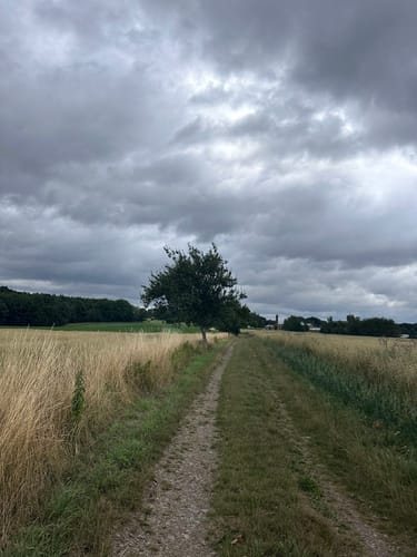 Via Porphyria Etappe 7: Von Lunzenau bis Claußnitz