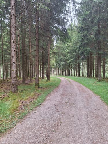 Kurze Schleife südlich von Udenbreth