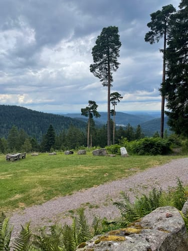 Große Runde über die Teufelsmühle