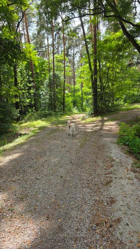 Rundwanderweg Bergbau
