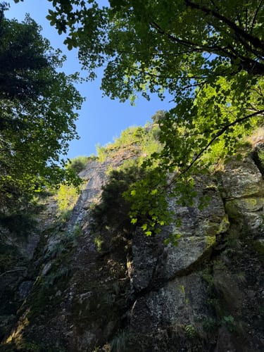 Kälbelescheuer-Nonnenmattweiher