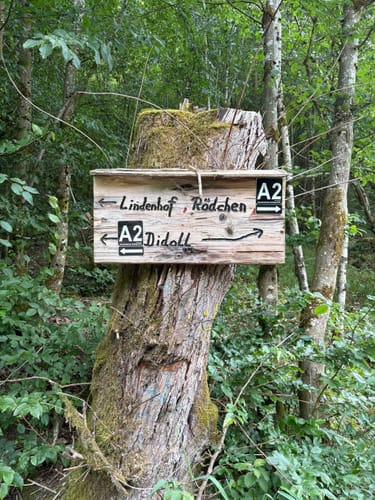 Mallau - Buchholz - Burgruine Hatzfeld