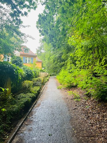 Forsthaus Wannsee - Moritzberg - Hirschberg