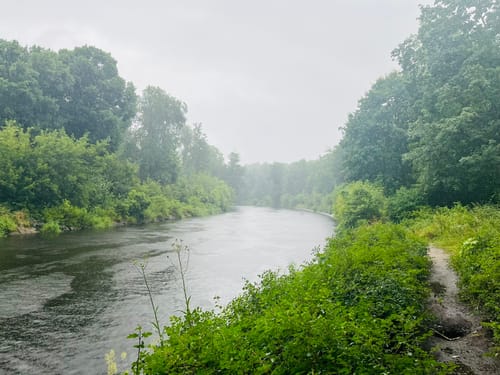 Forsthaus Wannsee - Moritzberg - Hirschberg