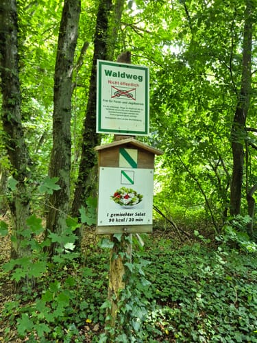 NaturaTrail: Durch die Schluchten und Kehlen der Märkischen Schweiz