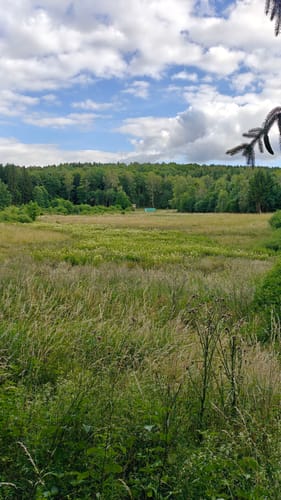 Frau Holle (Premiumwanderweg)