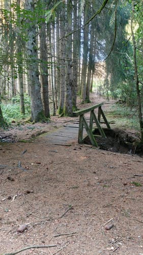Frau Holle (Premiumwanderweg)