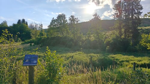 Frau Holle (Premiumwanderweg)