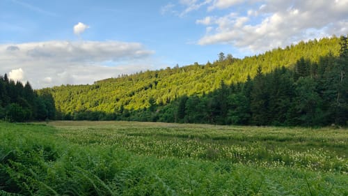 Frau Holle (Premiumwanderweg)